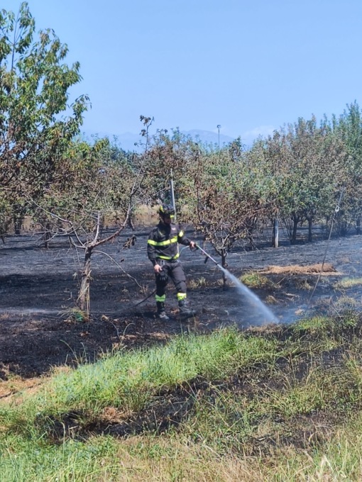 Incendio a San Giusto: distrutti un campo di grano e un frutteto