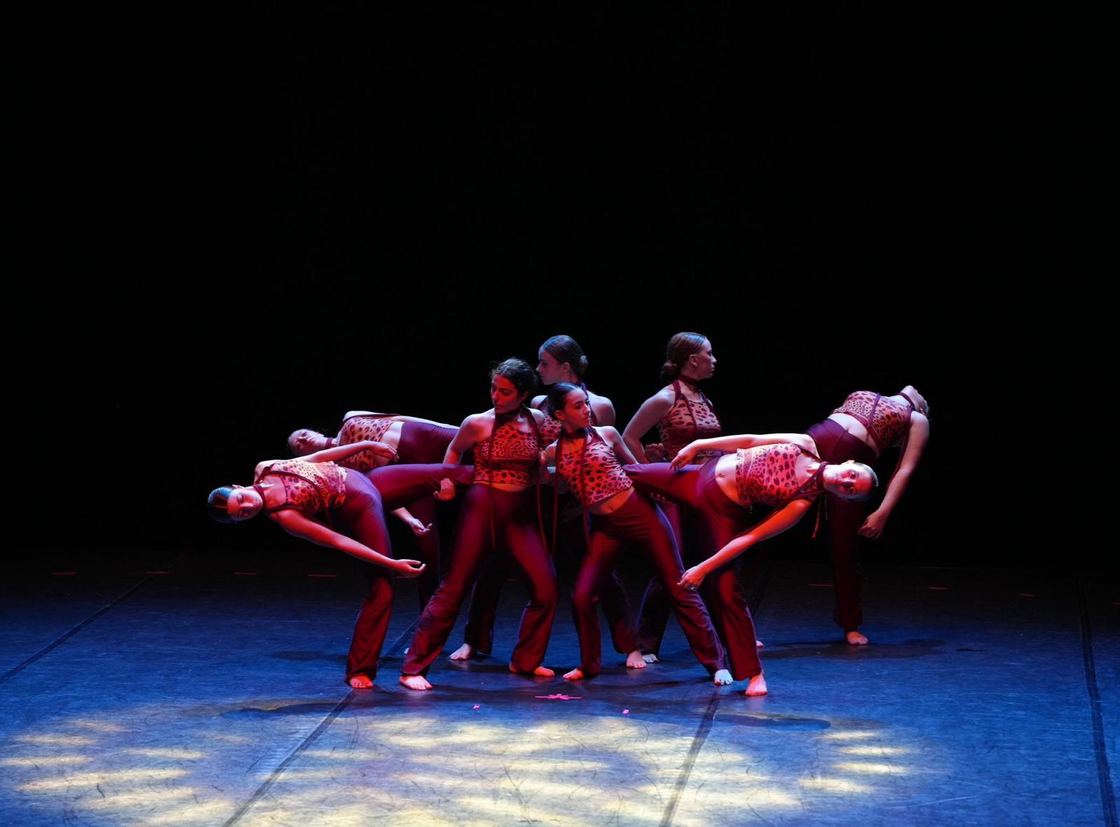 saggio New Dance Academy 8