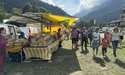 Torna la Mostra Nazionale della Toma di Lanzo a Usseglio
