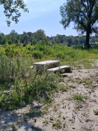 Il Parco della Roggia Rossa abbandonato: la denuncia di Uniti con voi per Banchette