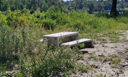 Il Parco della Roggia Rossa abbandonato: la denuncia di Uniti con voi per Banchette