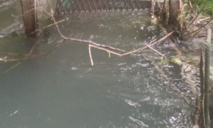 Germagnano, sabotaggi alla Bealera: il sindaco Mantini denuncia ostacoli al flusso dell’acqua