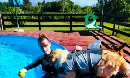 Alla Casa del Cane Vagabondo una piscina per i “pelosetti”