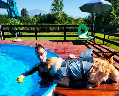 Alla Casa del Cane Vagabondo una piscina per i “pelosetti”