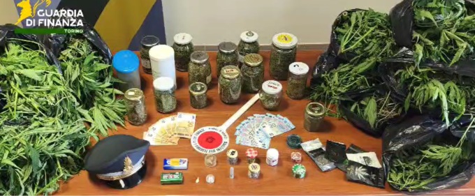 Serra di marijuana in casa, arrestata una 55enne