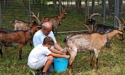 Prosegue “Mountain Festival” a Groscavallo