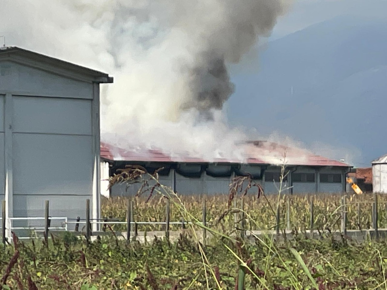 Brucia ancora la Cascina di Vittorino Merlo all’Argentera