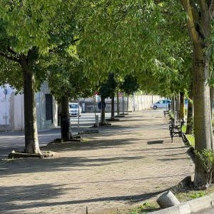 Al via la riqualificazione del viale della Rimembranza a Favria
