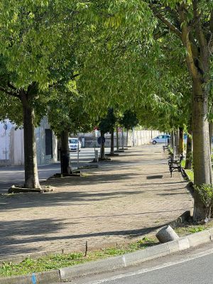 Al via la riqualificazione del viale della Rimembranza a Favria