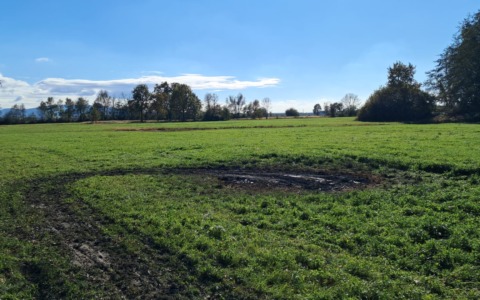 Auto in fiamme in via Benna a Leini: automobilista gravemente ustionato