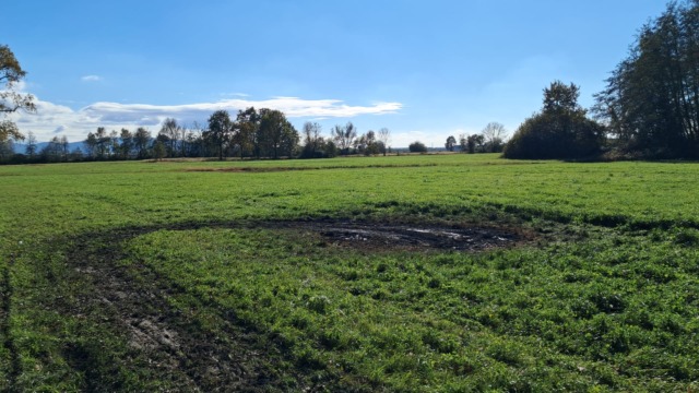 Auto in fiamme in via Benna a Leini: automobilista gravemente ustionato