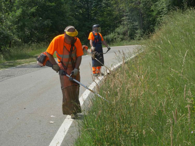 Selezioni aperte per i Cantieri di lavoro over58 2025-2026 finanziati dalla Regione Piemonte