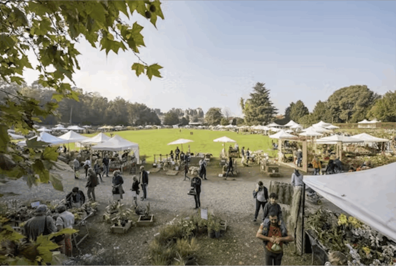 Cosa fare in Canavese nel weekend: gli eventi di sabato 18 e domenica 19 ottobre 2025