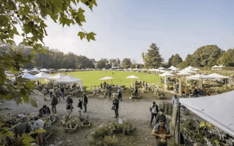 Cosa fare in Canavese nel weekend: gli eventi di sabato 18 e domenica 19 ottobre 2025