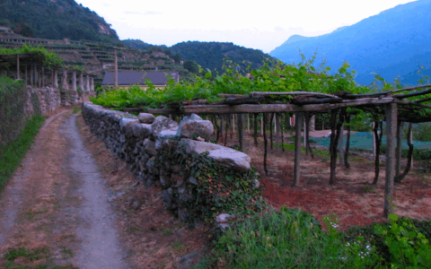 Telerilevamenti aerei per mitigare il rischio idrogeologico