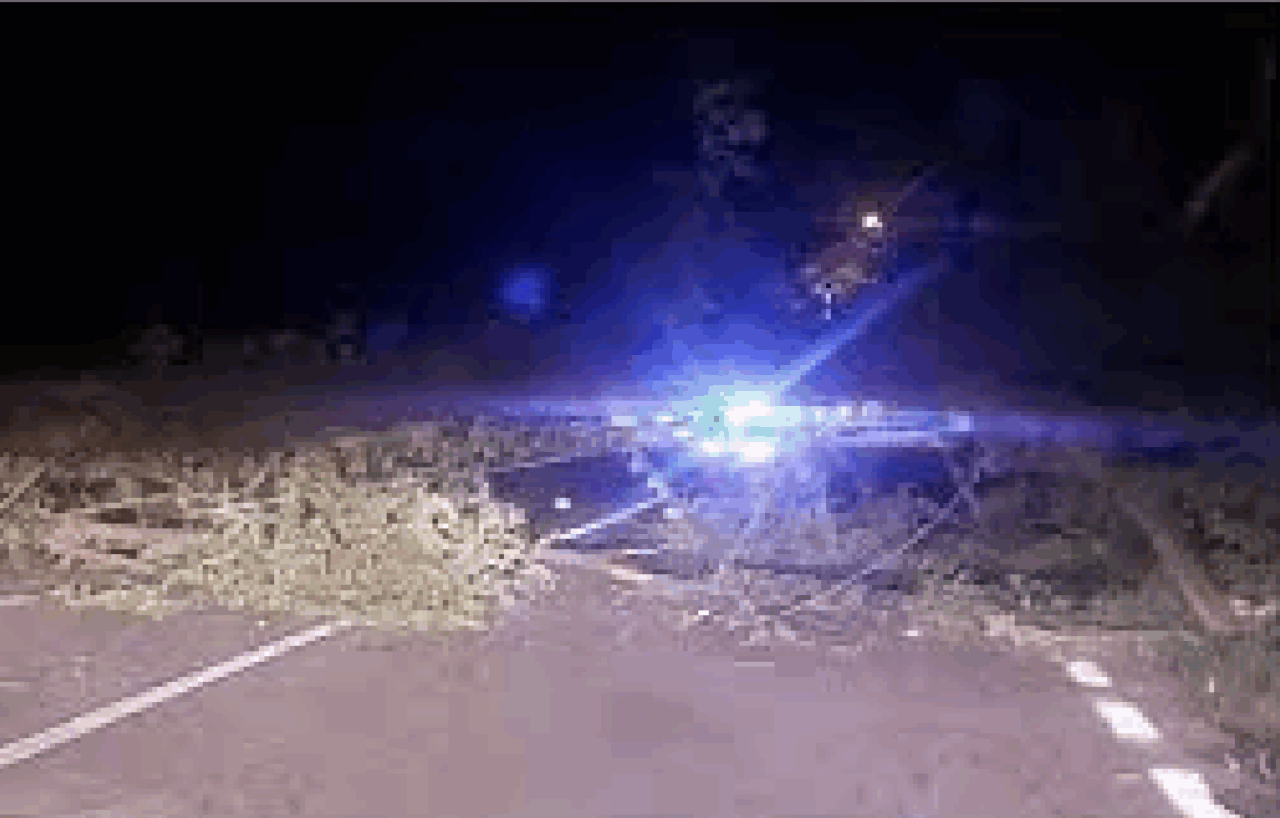 Tassista  schiacciato  dall’albero: chiesta la condanna  dei tre tecnici dell’Anas