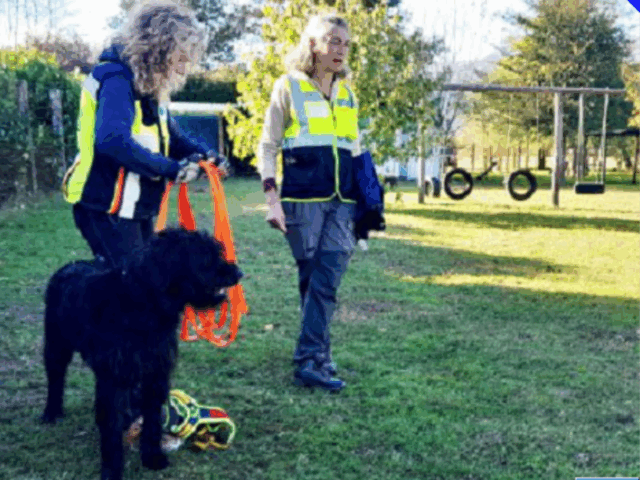 Successo alla Casa del Cane Vagabondo: giornata dedicata alla ricerca olfattiva con Outdog
