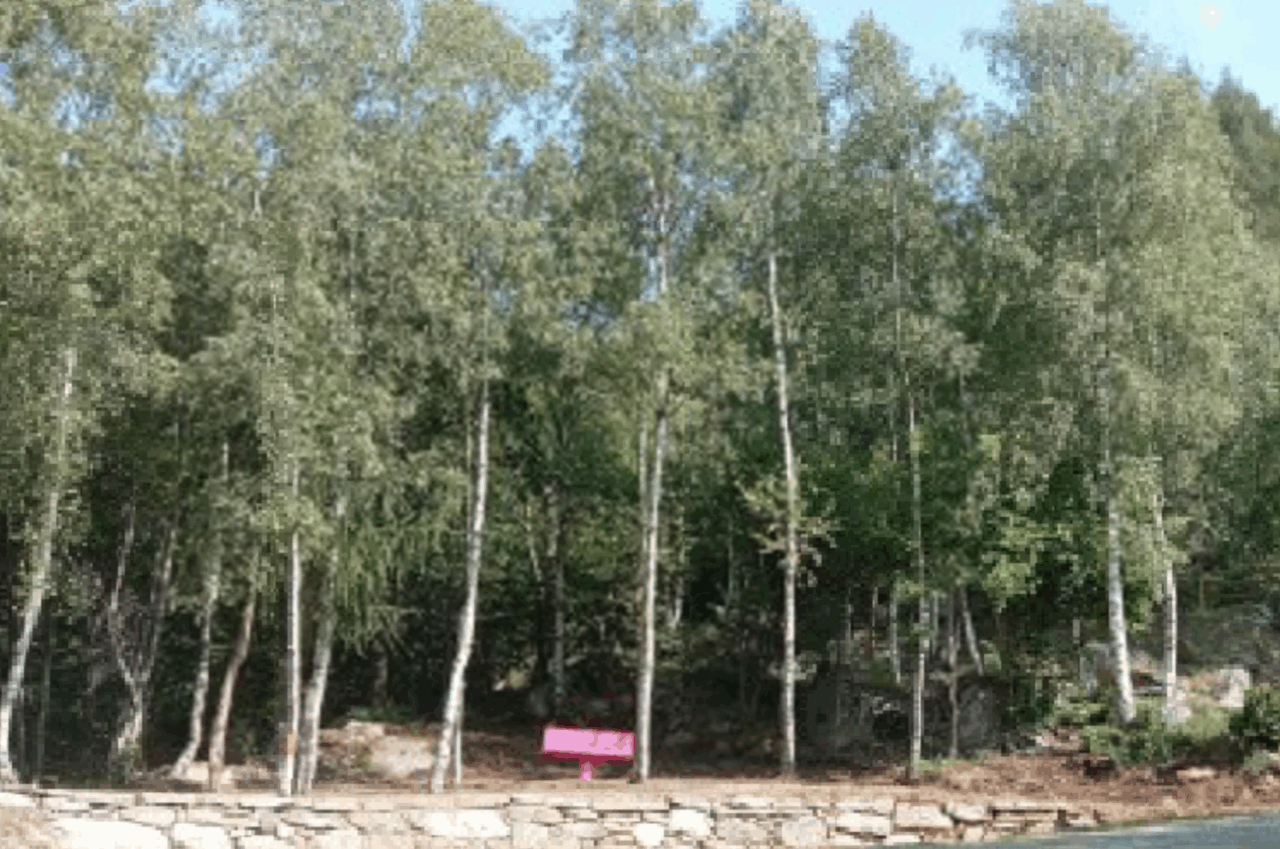 Val Grande unita contro la violenza di genere: a Groscavallo una serata di confronto e solidarietà