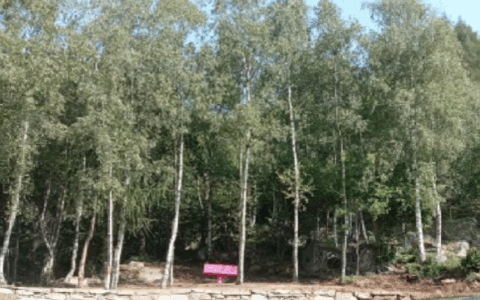 Val Grande unita contro la violenza di genere: a Groscavallo una serata di confronto e solidarietà