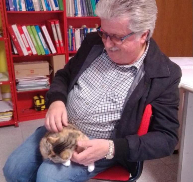 Travolto e ucciso dopo la Messa di mezzanotte: muore a Leini il geometra Claudio Pogliano, caccia al pirata della strada