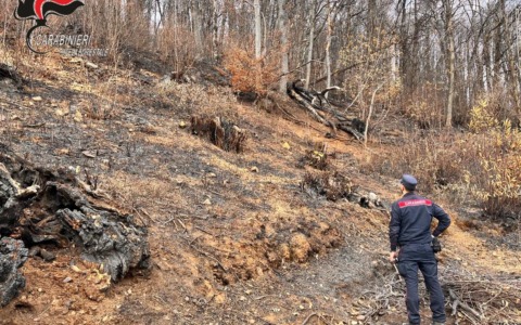 Incendio boschivo a Coassolo: individuato un presunto responsabile
