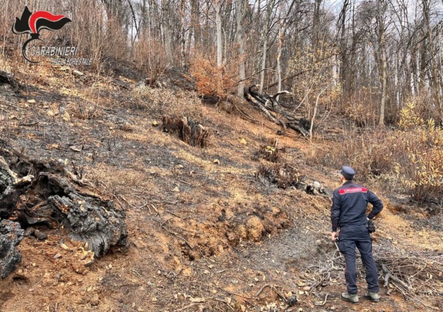 Incendio boschivo a Coassolo: individuato un presunto responsabile