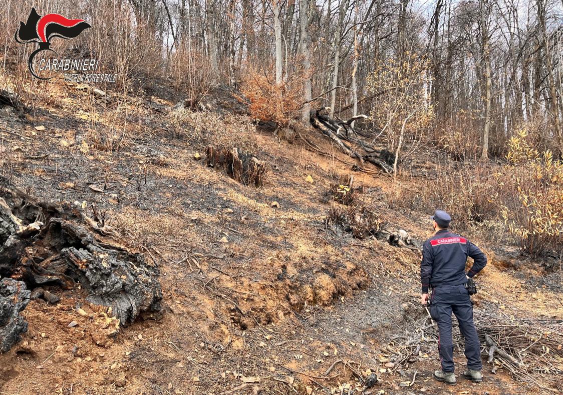 Incendio boschivo a Coassolo: individuato un presunto responsabile