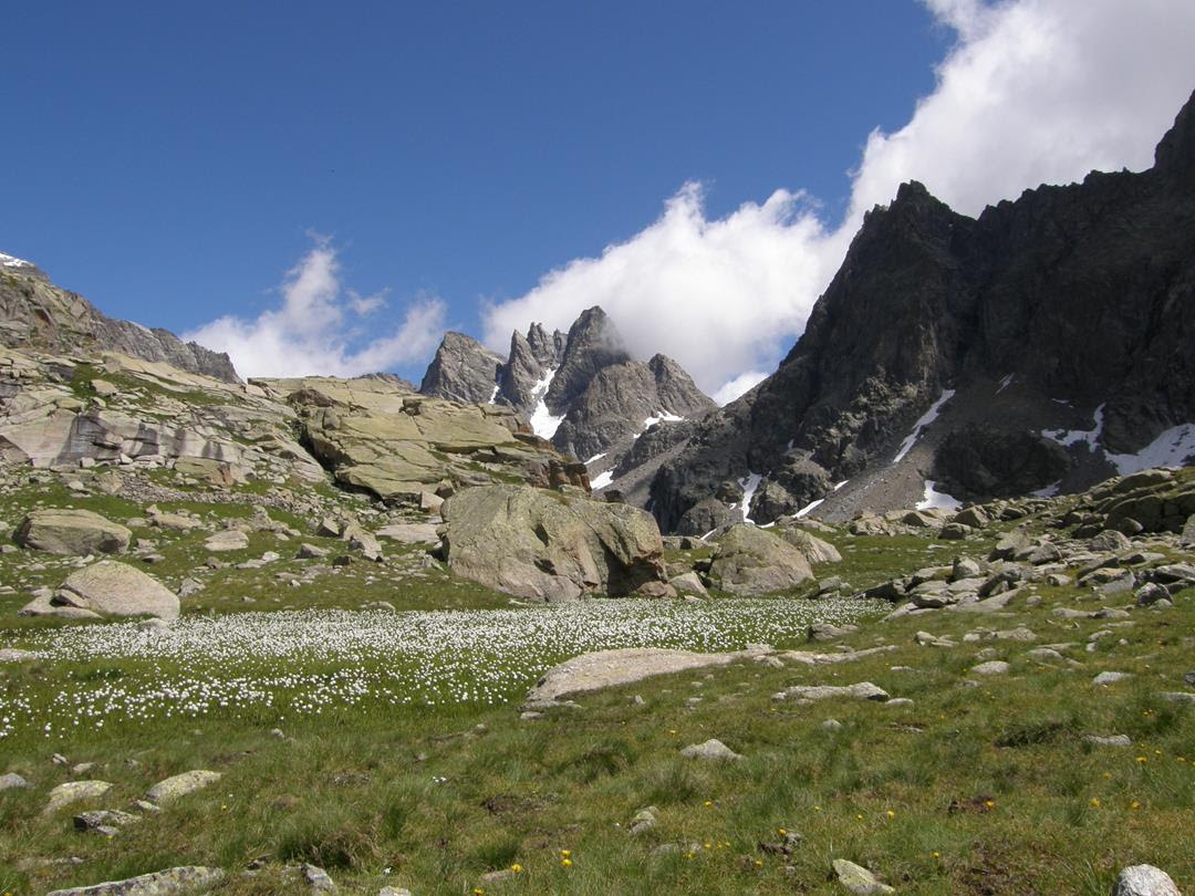 Parco Nazionale Gran Paradiso: 1,6 milioni di euro per clima, energia e resilienza del territorio