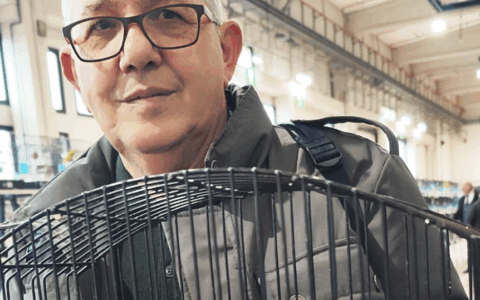 L’allevatore leinicese Tony Giordano campione italiano: trionfo con i canarini di razza spagnola