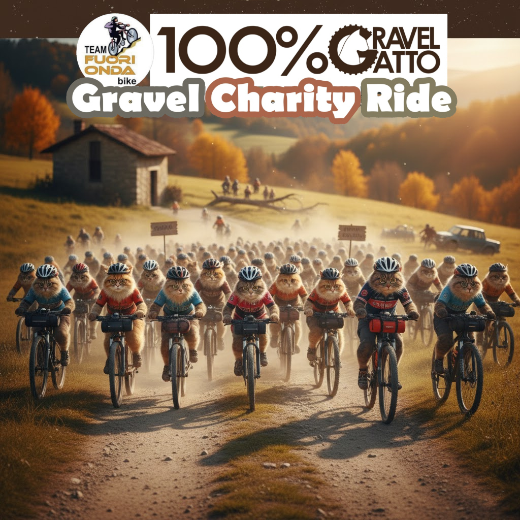 100 per 100 Gatto: la cicloturistica per aiutare il Gattile di Ivrea