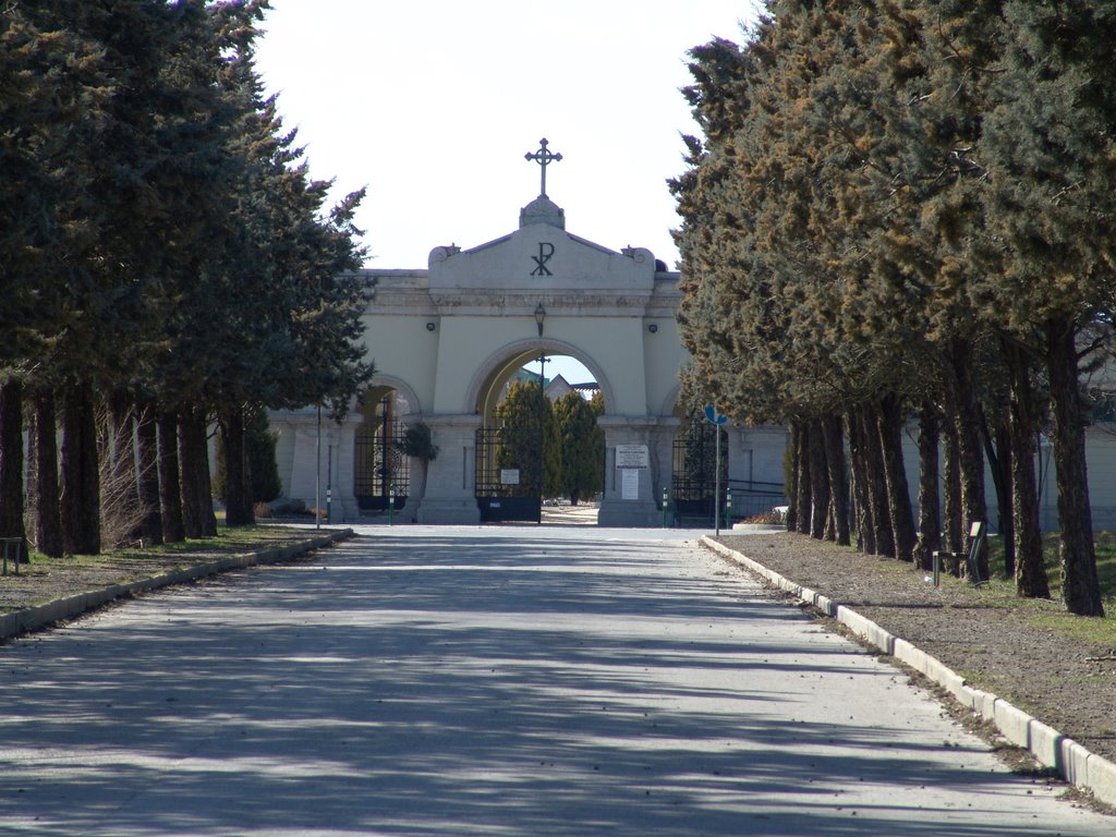 Paura al cimitero: caccia al maniaco sulla Citroën che terrorizza le donne