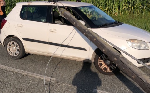 Pali telefonici “ex TIM”, serve un piano straordinario di manutenzione