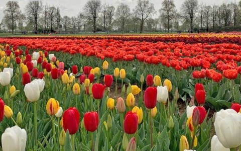 Cosa fare in Canavese nel weekend: gli eventi di sabato 28 e domenica 29 marzo 2026