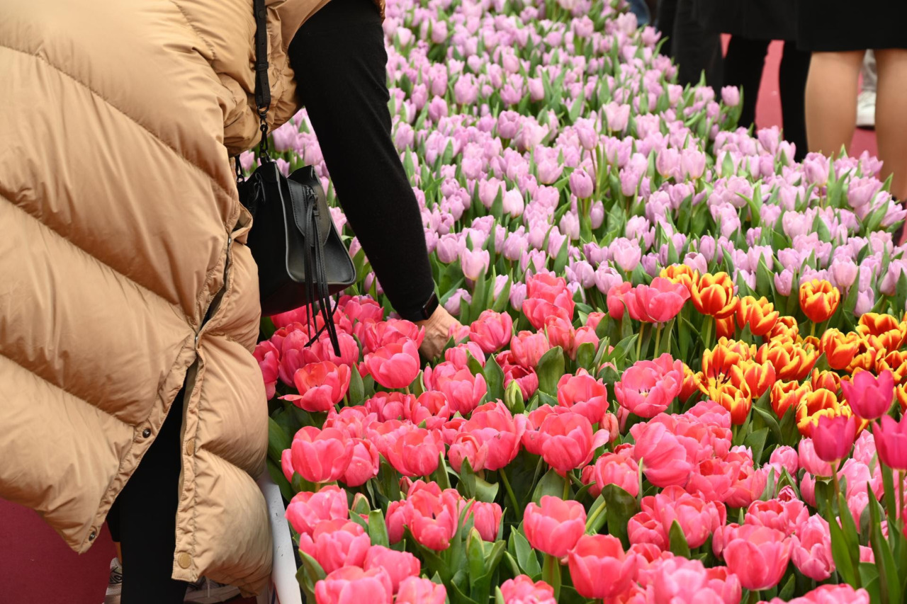 Primavera in fiore al Torino Outlet Village