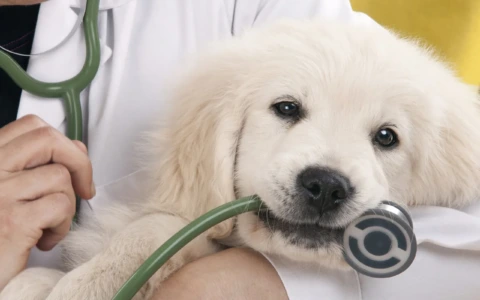 Chivasso, trasferimento servizi ASL TO4 a Palazzo Einaudi: orari, sedi e informazioni utili