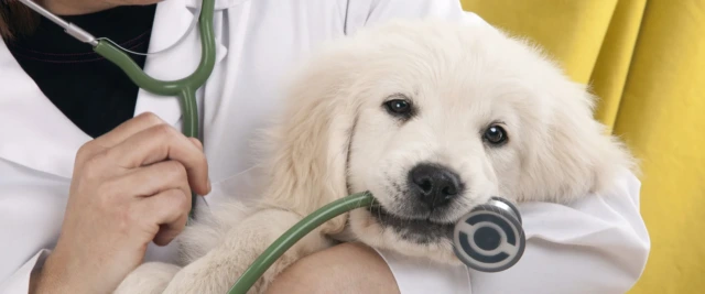 Chivasso, trasferimento servizi ASL TO4 a Palazzo Einaudi e in ospedale: orari, sedi e informazioni utili