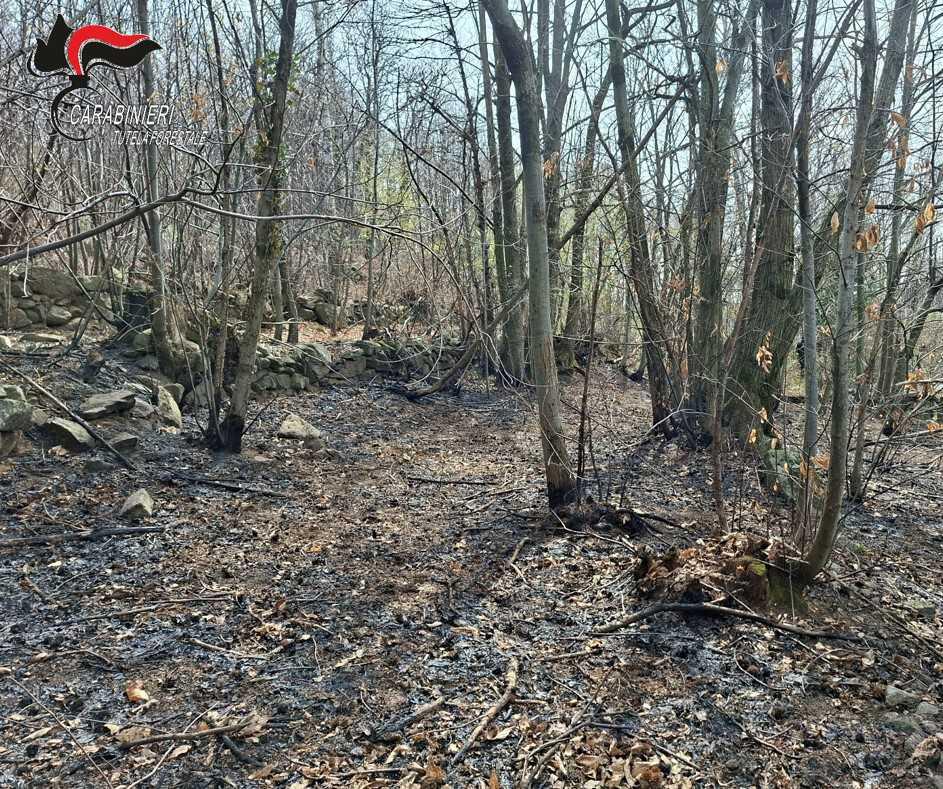 Incendio boschivo a Cuorgnè: i Carabinieri Forestali individuano il presunto responsabile