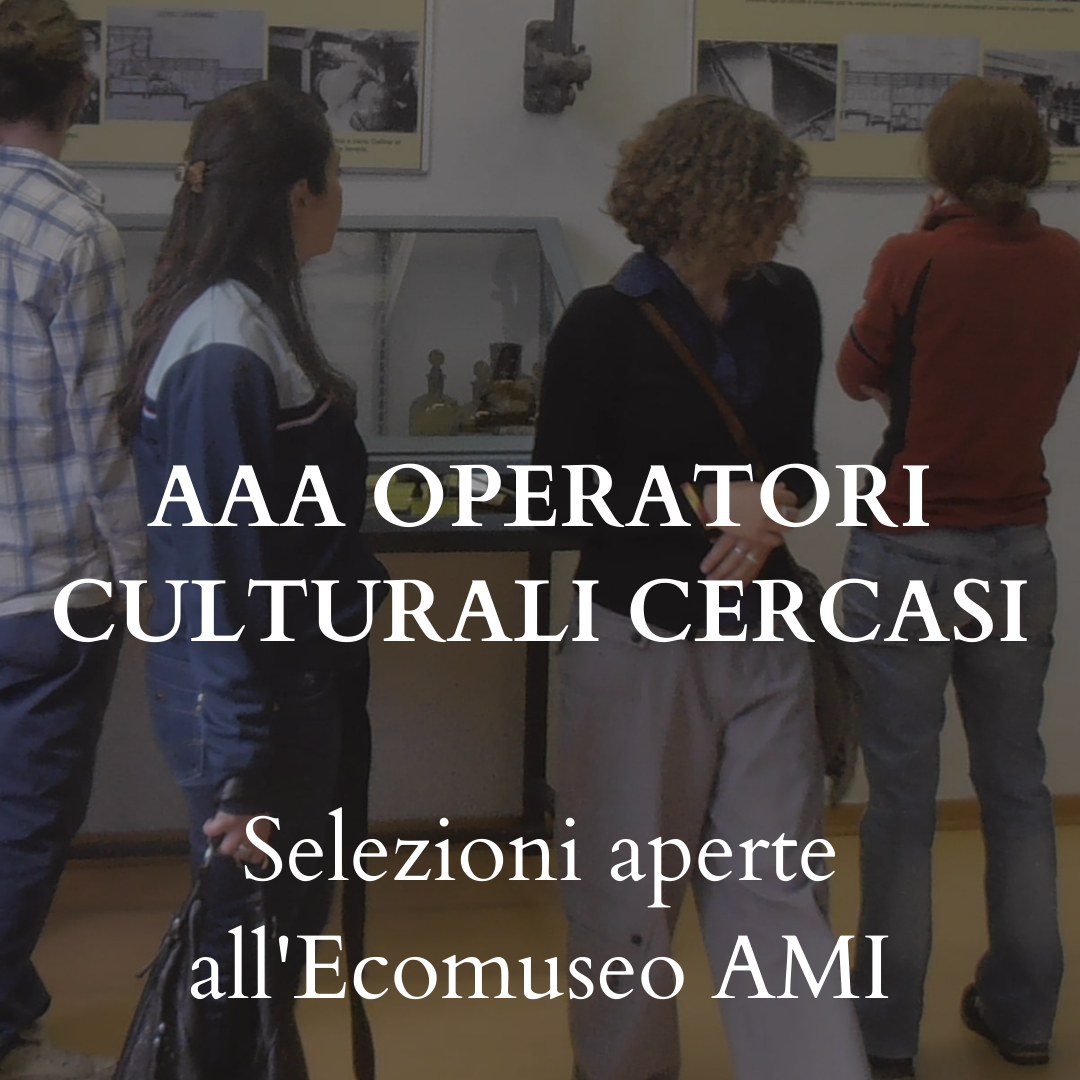 Operatori culturali, al via il bando dell’Ecomuseo Anfiteatro Morenico di Ivrea