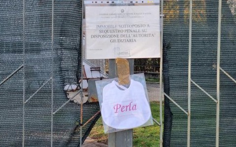 Morte della piccola Perla: «La mamma era incapace di intendere e volere»