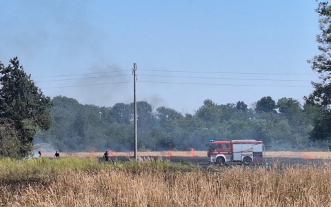 Incendio a Leini: fiamme in via Volpiano, a fuoco ettari di terreni agricoli e siepi