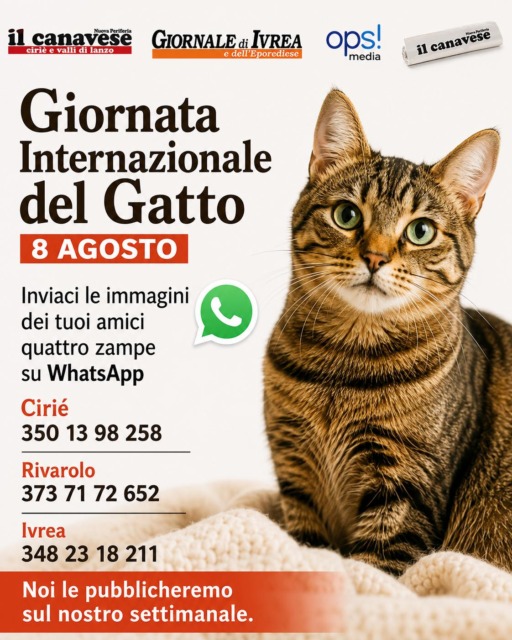 Giornata Internazionale del gatto: mandateci le vostre foto!