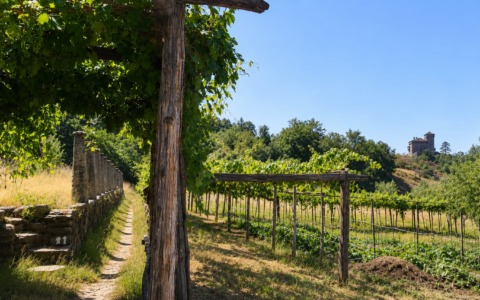 Gli appuntamenti nel weekend a Ivrea e nell’Eporediese