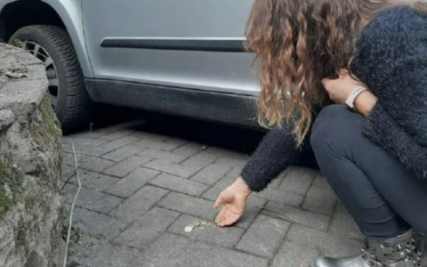 Dopo gli ultimi furti, scatta il piano telecamere