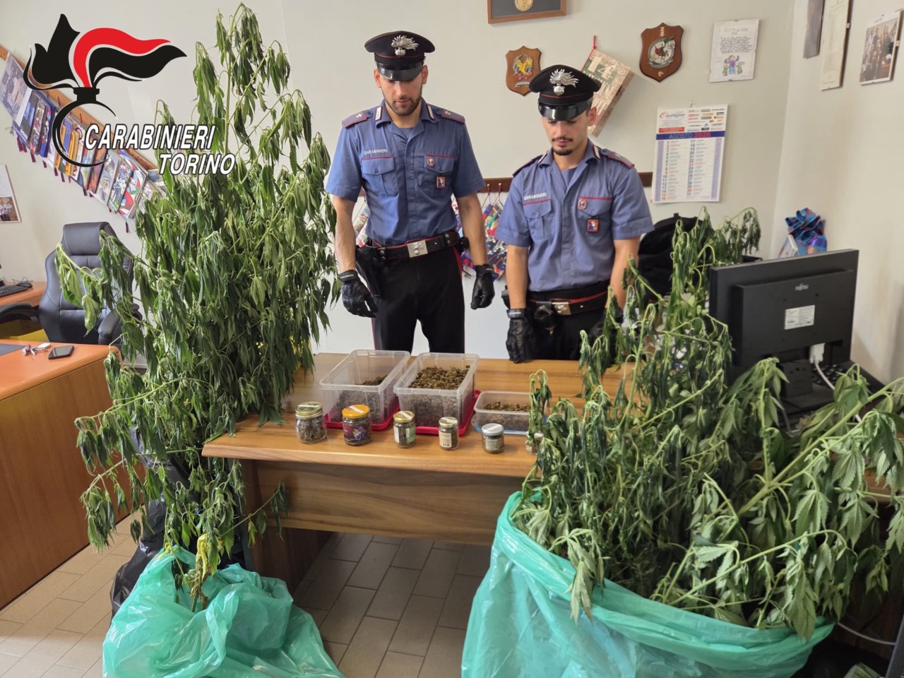 Litiga con il vicino e i Carabinieri scoprono canapa e marijuana: arrestato 72enne