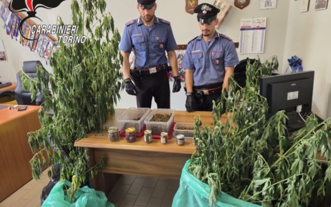 Litiga con il vicino e i Carabinieri scoprono canapa e marijuana: arrestato 72enne