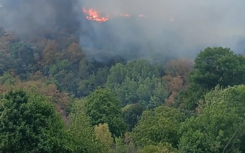 Vasto incendio in borgata Santa Maria, fiamme vicino alle case