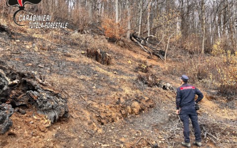 Incendi boschivi, le cause non sono solo naturali: 20 persone denunciate e sanzioni per 91.450 euro
