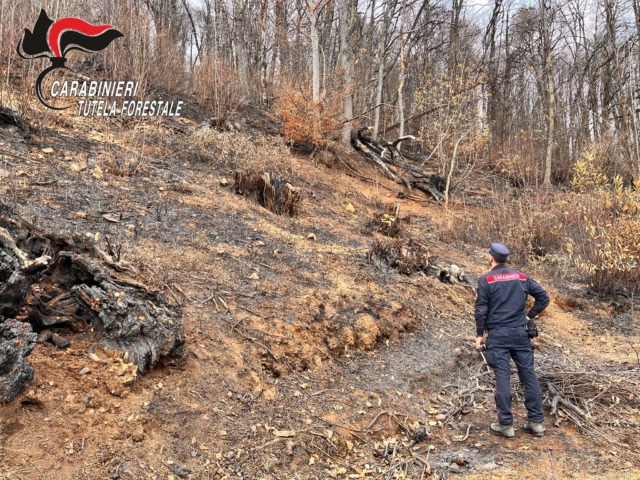 Incendi boschivi, le cause non sono solo naturali: 20 persone denunciate e sanzioni per 91.450 euro