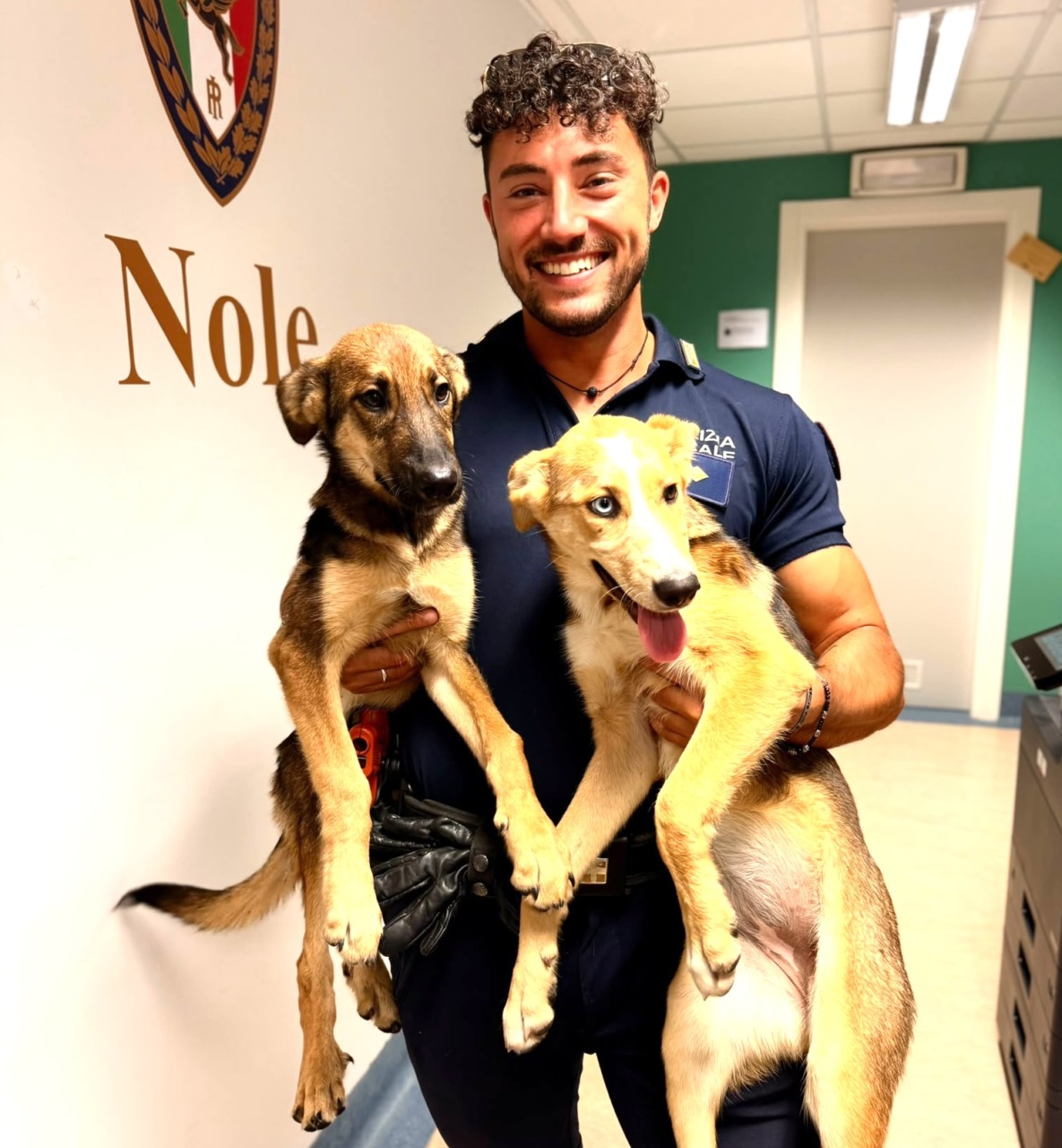Intrappolati sotto una grata, due cani salvati dalla Polizia Locale e dai Vigili del Fuoco