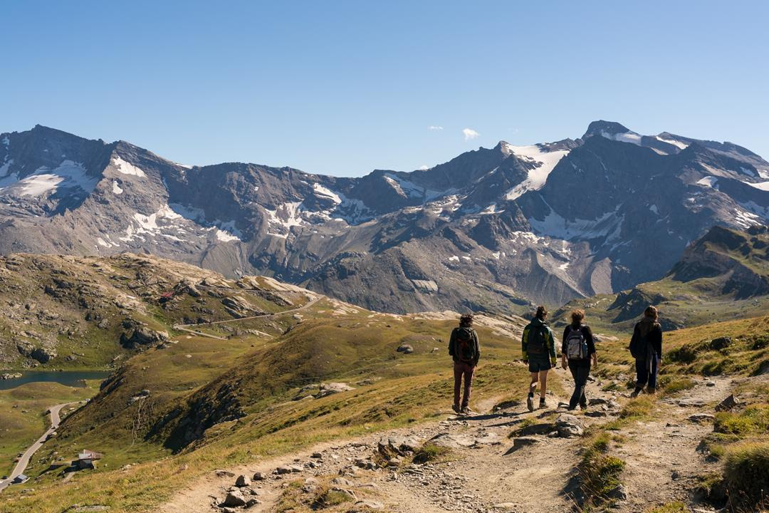 Gran Paradiso, al Nivolet una festa transalpina per scoprire la biodiversità